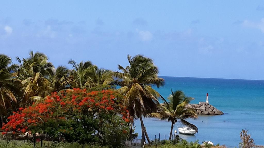 לה גוסייר Palm Beach מראה חיצוני תמונה